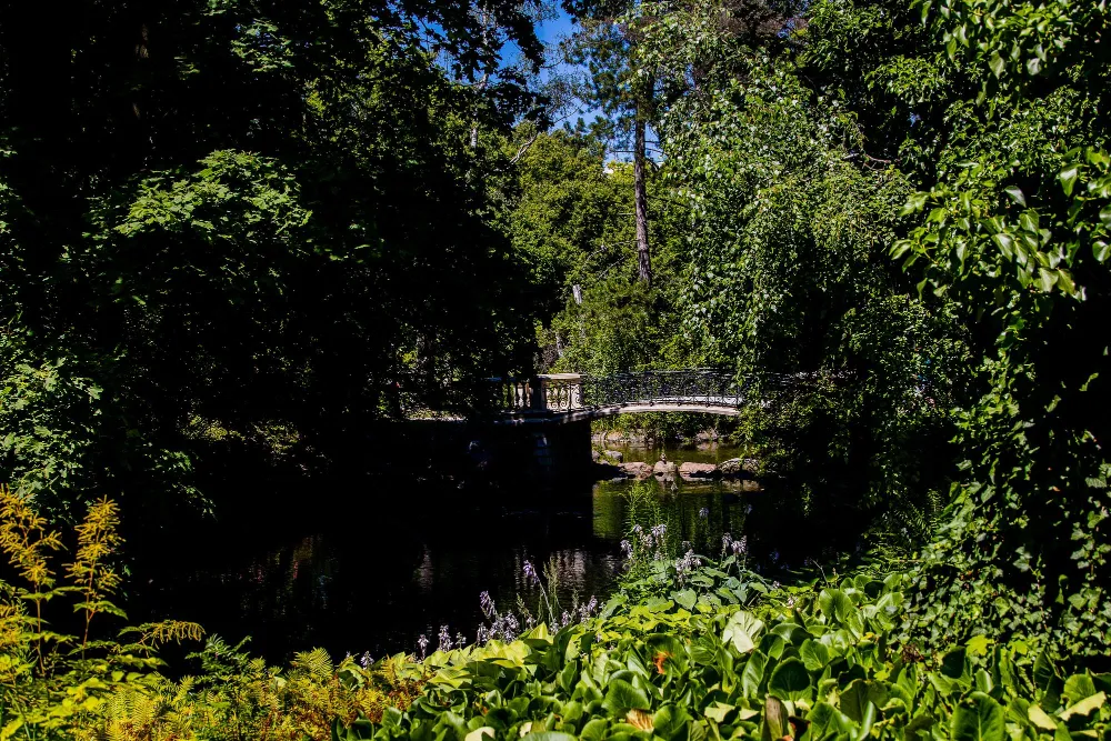 Netherlands cycling path